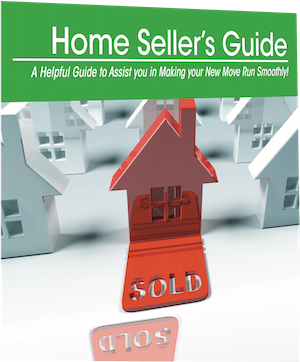 Download this Investor Powerpoint Now!