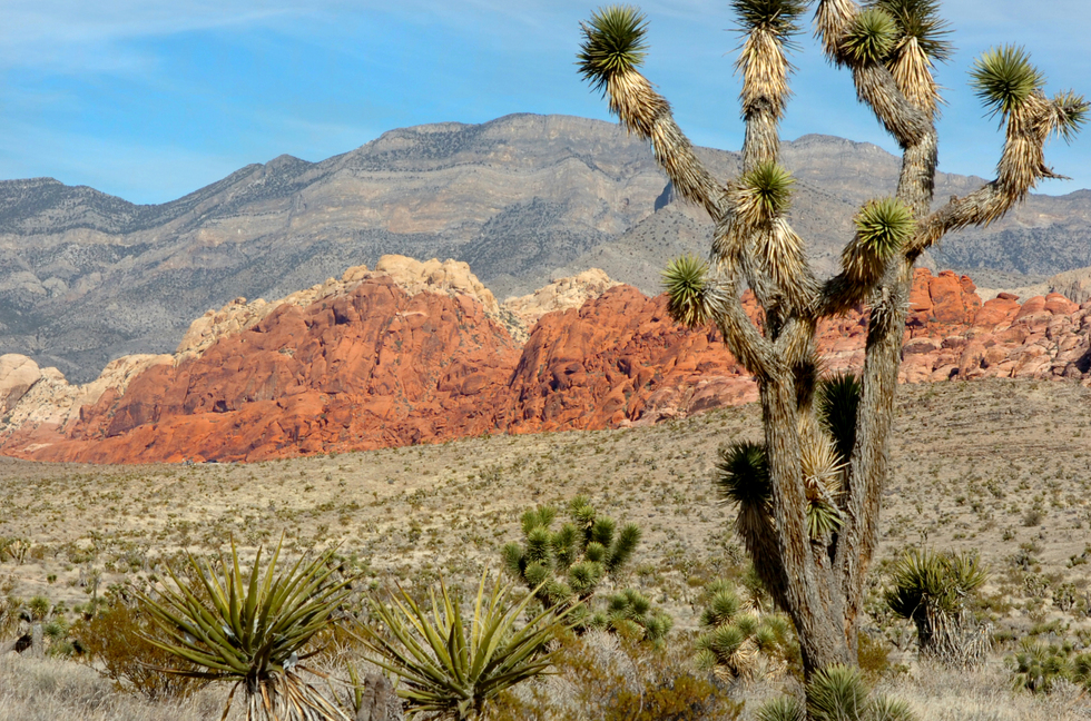 Redrockcanyon