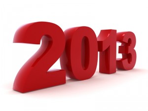 2013 year 300x225