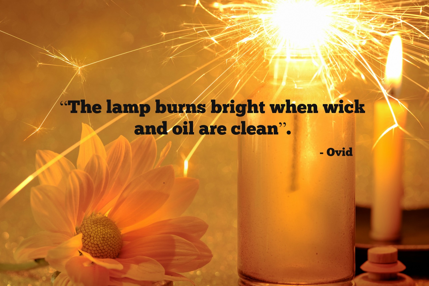 Ovid