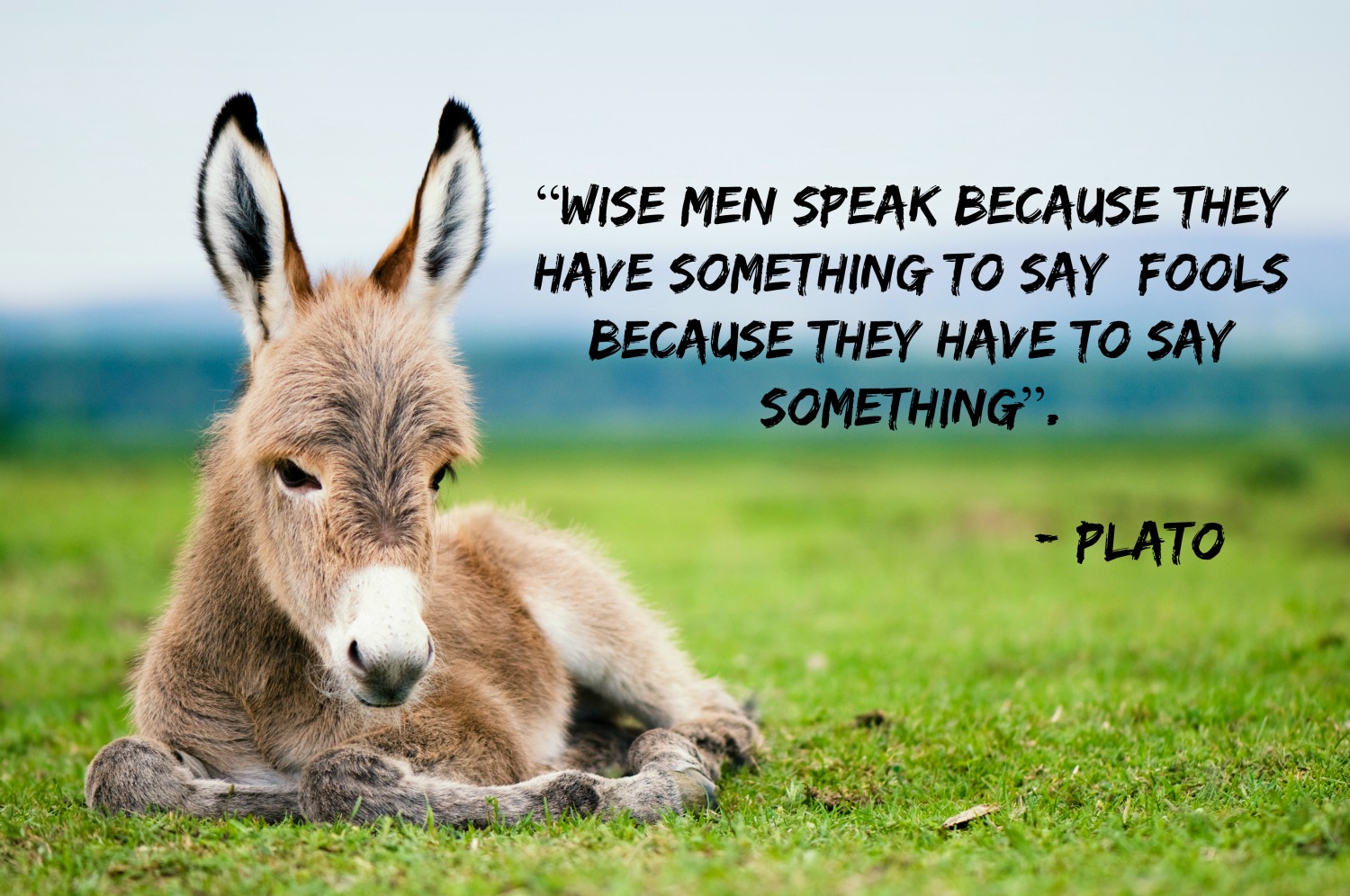 Plato