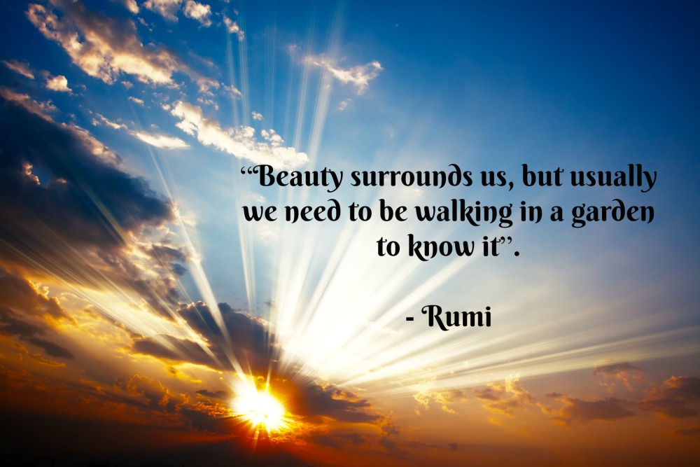 Rumi