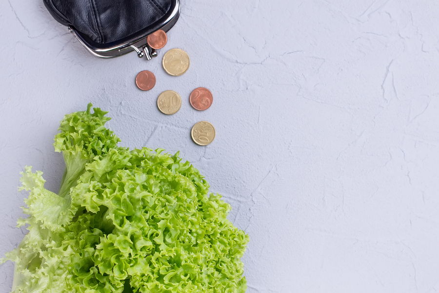 Bigstock lettuce wallet coins and cop 237494746