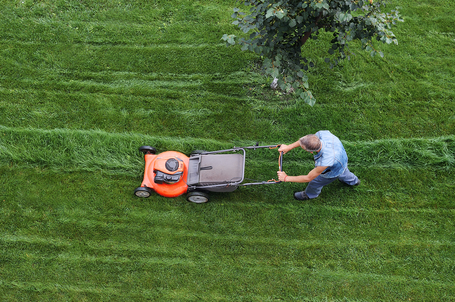 Bigstock man cuts the lawn lawn mowing 315348466