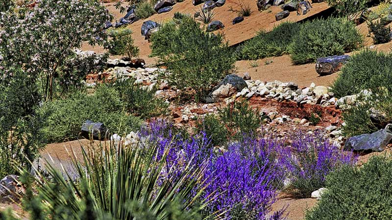 Las Vegas Desert Landscape