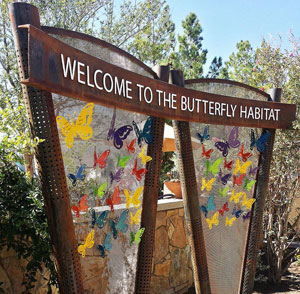 Butterfly Habitat at The Springs Preserve